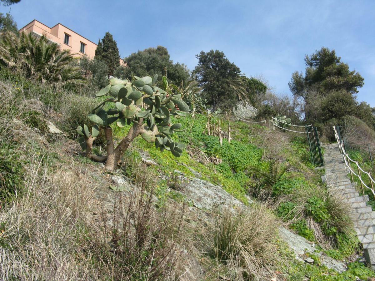 Casa Delle Mimose Lägenhet Varazze Exteriör bild